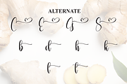 Ginger Farmhouse | Script Font, a Handwritten Font by Scratchones (Thumbnail 8 of 9)