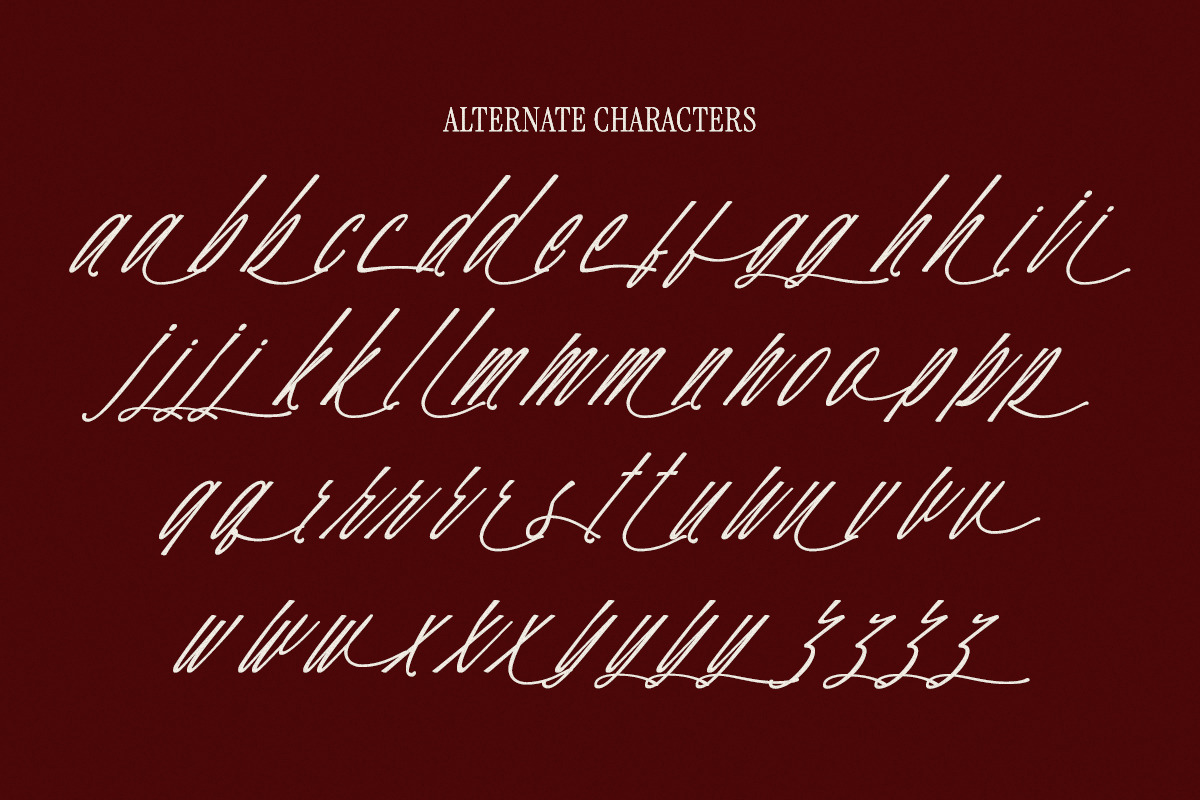 Hadley Enigmatic, a Script Font by Get Studio (Photo 11 of 12)