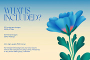 50 Digital Flower Image Collection, a Background Graphic by MindMuse (Thumbnail 3 of 7)