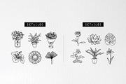 60 Plant & Floral Icons - Flower, an Outline Icon by Hatch Design Workshop (Thumbnail 8 of 11)