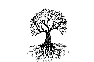 Silhouette tree with roots vector