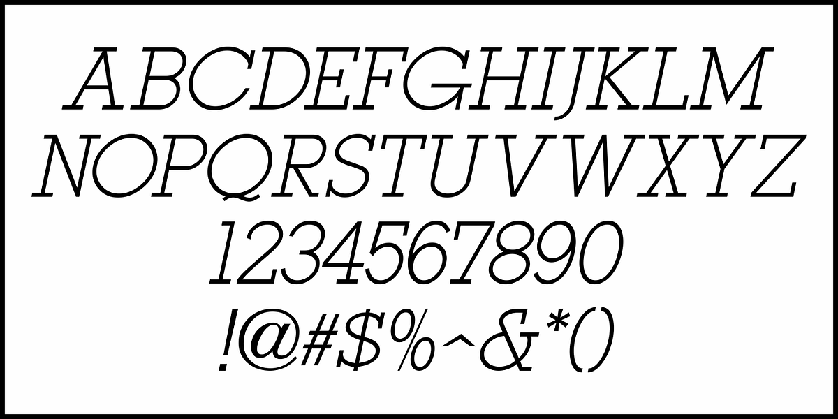 Tag Sale JNL, a Slab Serif Font by Jeff Levine Fonts (Photo 5 of 5)