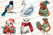 Christmas Birds Sublimation Clipart, an Illustration by DreamCafeArt (Thumbnail 3 of 7)