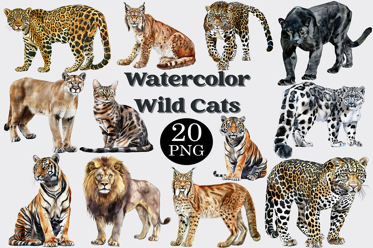 Watercolor Wild Cats Clipart Set, an Animal Illustration by CropUp Creative (Photo 1 of 4)