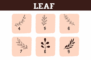 Leaf