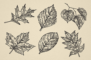 Nature Forest Hand Drawn Elements 2