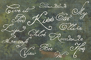 Lily of Sorrows - Spencerian Script, a Script Font by Lilithcollageart (Thumbnail 4 of 8)