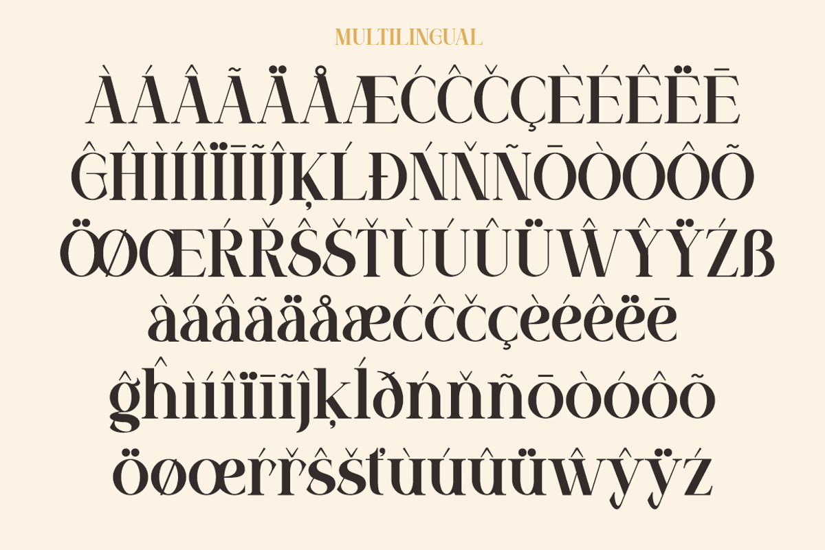 Lamcho - Serif Display Typeface, a Serif Font by MaikoHatta (Photo 6 of 8)