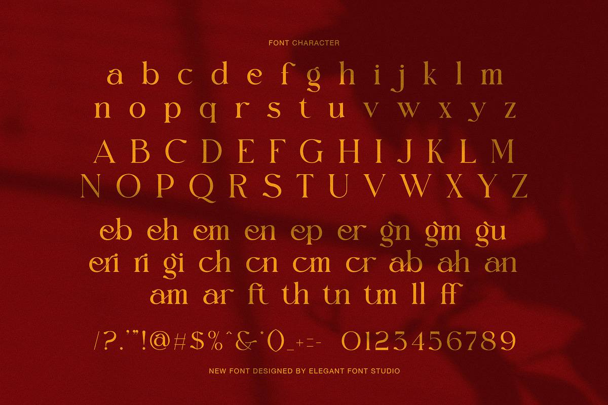 Signer Elegant Serif Font, a Serif Font by Elegant Font (Photo 7 of 8)