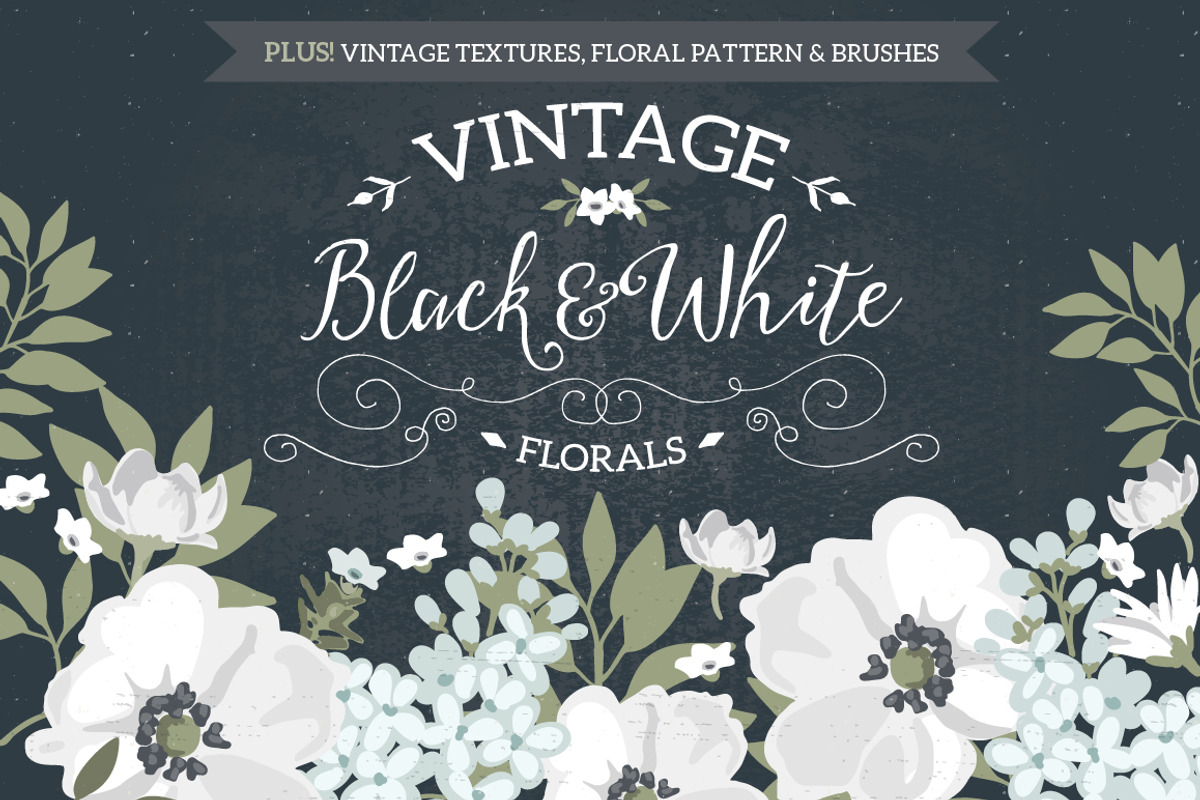 Vintage Black & White Florals, a Decorative Illustration by Lisa Glanz (Photo 1 of 5)