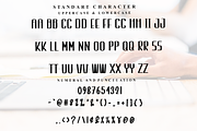 Varsity Modern, a Script Font by FreshTypeINK (Thumbnail 2 of 8)