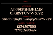 Manomali, a Serif Font by maybefont (Thumbnail 4 of 12)