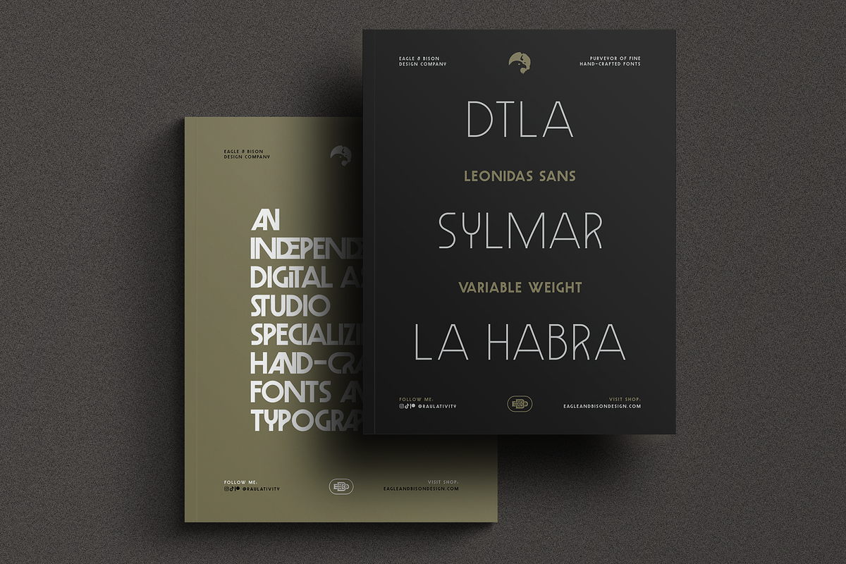 Leonidas Sans - Variable Weight Font, a Sans Serif Font by Eagle & Bison Design Co. (Photo 6 of 11)