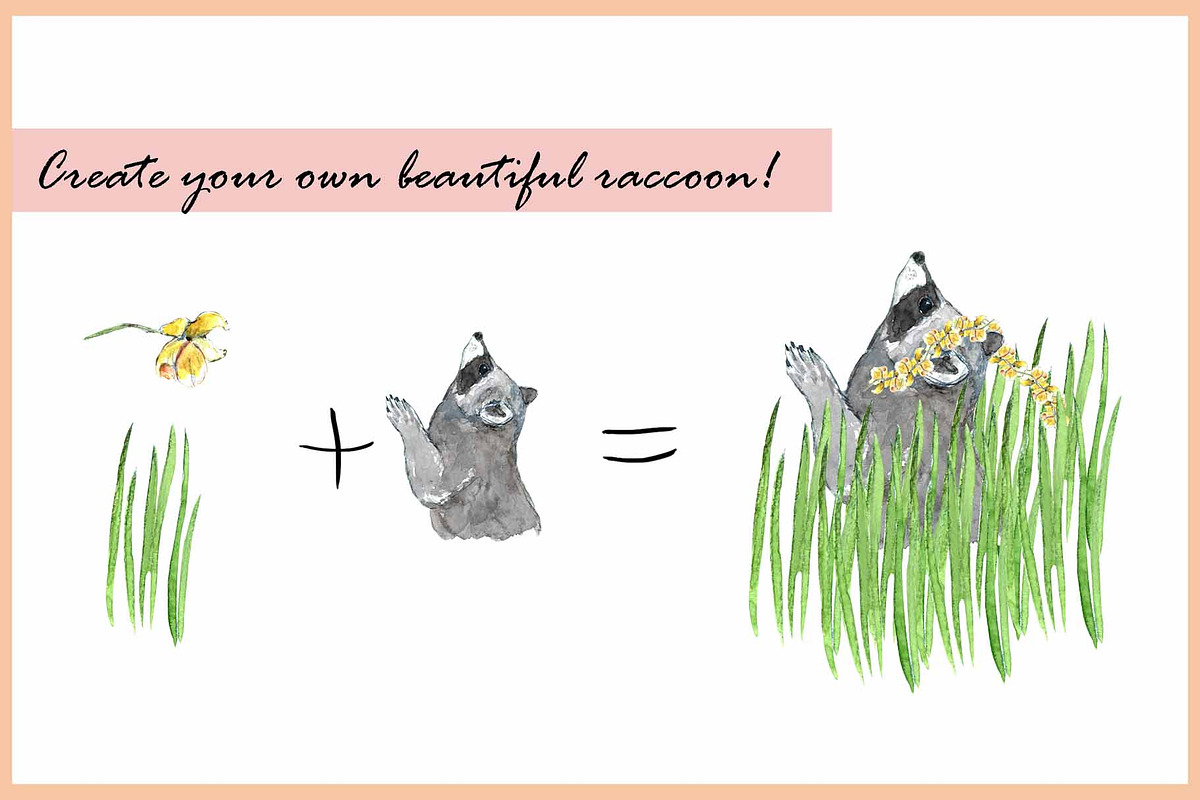 Raccoons & Cats-Watercolor Clipart, an Animal Illustration by VianneArt (Photo 6 of 7)
