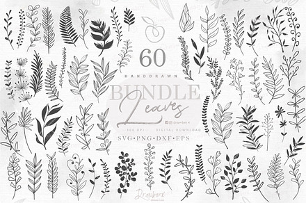 Leaf Branch Border Svg Bundle 013, an Illustration by Drawberx