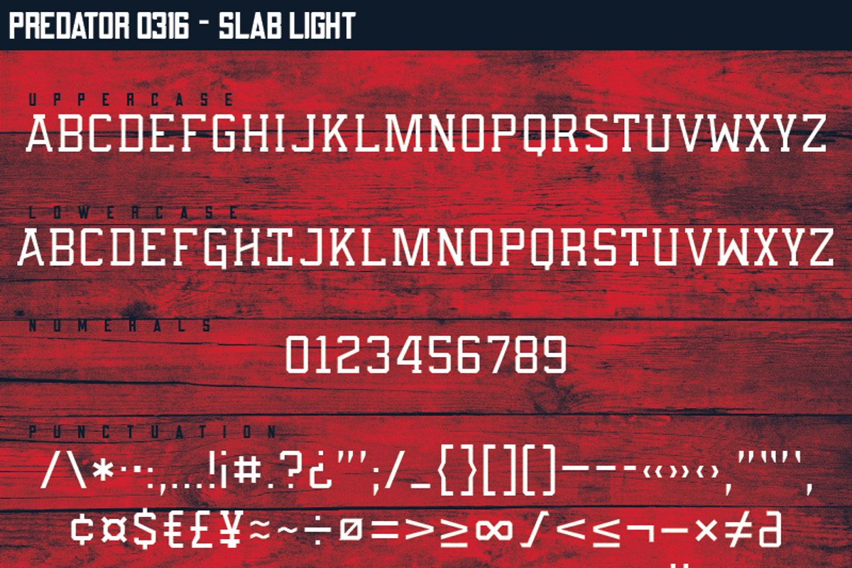 Predator 0316 - Full Family, a Sans Serif Font by Eargle Design, LLC (Photo 19 of 20)