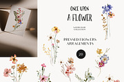 Meadow watercolor dried wildflowers, a Decorative Illustration by Grace Noboa Illustrations (Thumbnail 5 of 13)