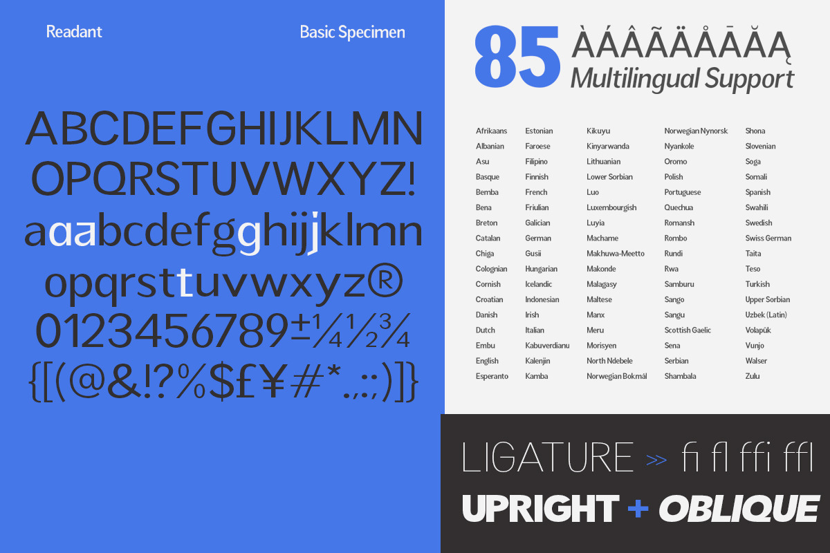 Readant Expanded - Family Font, a Sans Serif Font by Rastype (Photo 5 of 10)