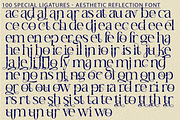 Aesthetic Reflection Elegant Font, a Serif Font by 177Studio (Thumbnail 8 of 8)