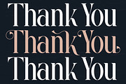 Rasmien | Elegant Serif Font, a Serif Font by Denustudios (Thumbnail 13 of 13)