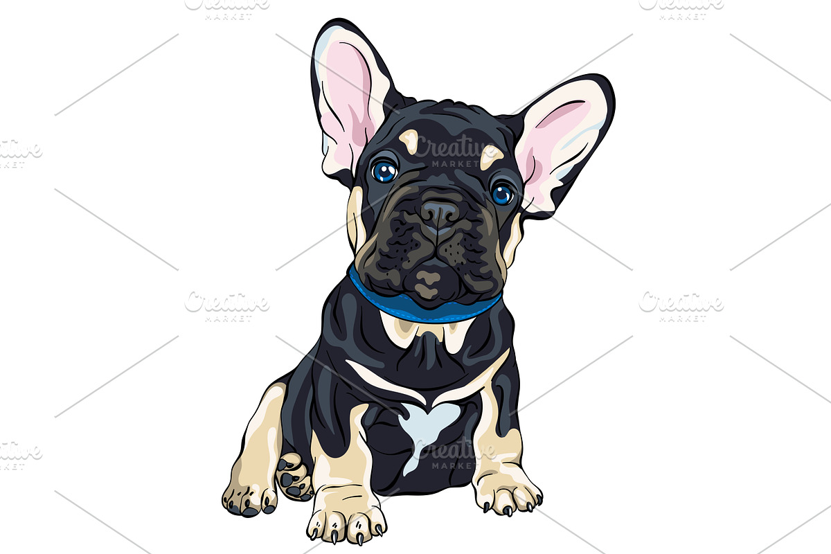 French Bulldog puppy vector, an Animal Illustration by kavalenkava