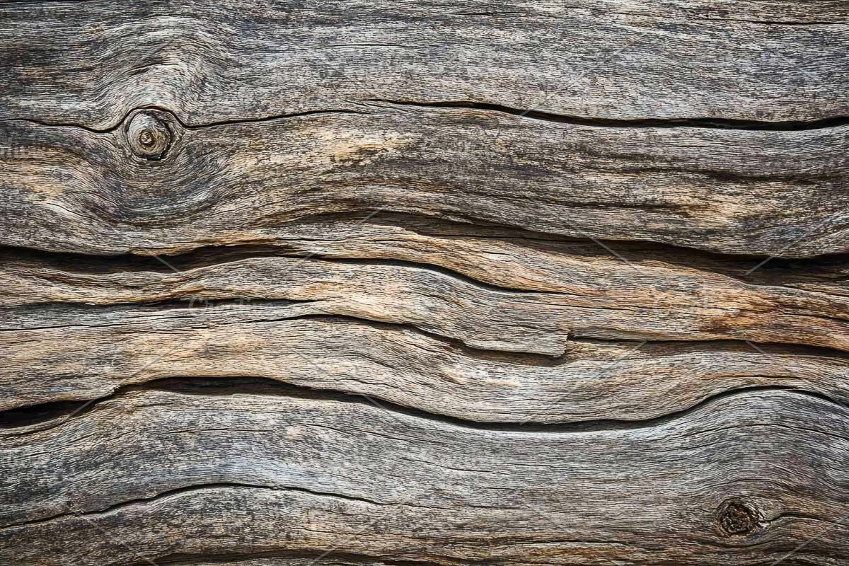 varied wood grain bundle, a Texture Graphic by VetalStock (Photo 11 of 12)