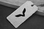 Skyhunter Logo Template, a Branding & Logo Template by pne-design (Thumbnail 2 of 2)