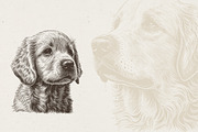 Dog Breeds Portrait Illustrations, an Animal Illustration by Nocturnal Wolf (Thumbnail 5 of 12)