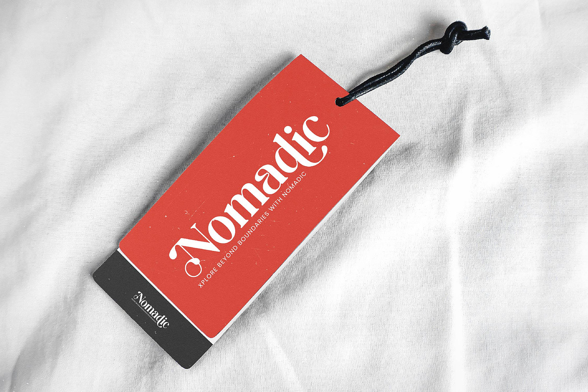 Beyond Wandler Modern Serif Font, a Serif Font by timelesstype.co (Photo 12 of 20)