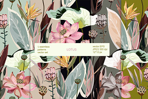 Lotus Seamless Clipart Vector Set