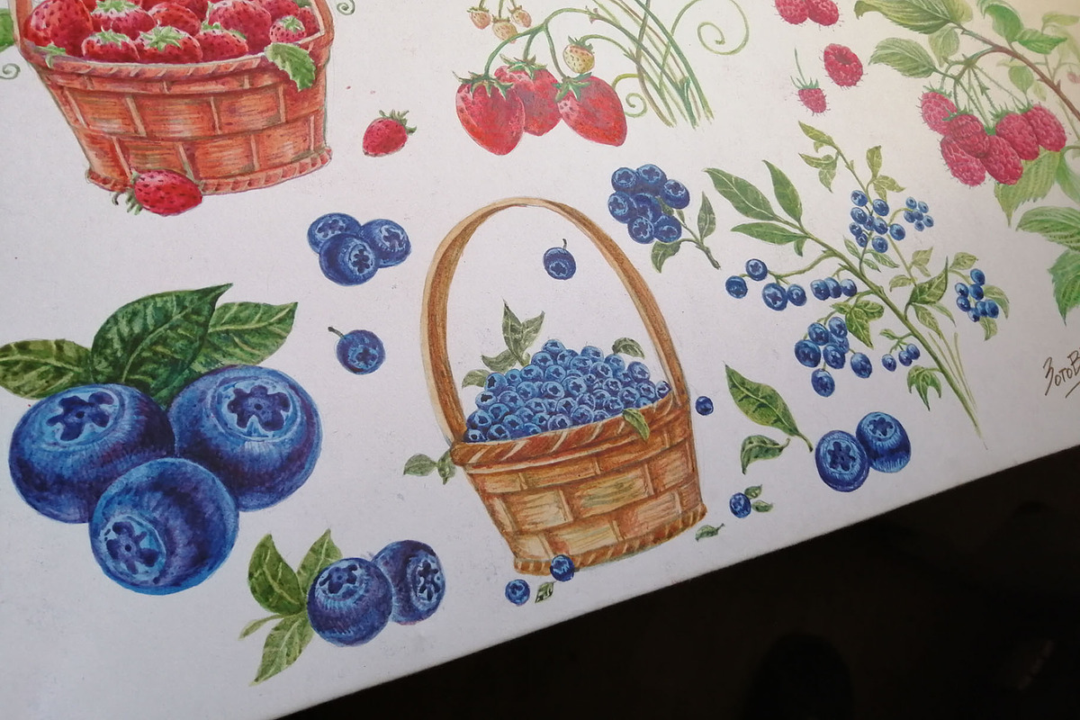 Fruits and berries collection_part 1, an Illustration by ZotovShop (Photo 12 of 20)