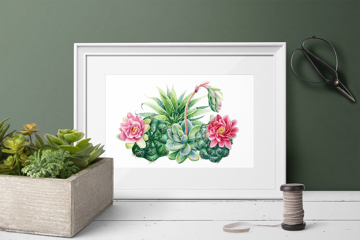 Succulents Botanical Watercolor, a Background Graphic by Hanna Hryharenka (Photo 8 of 15)