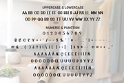 Home Store | Script Font, a Script Font by Scratchones (Thumbnail 7 of 8)