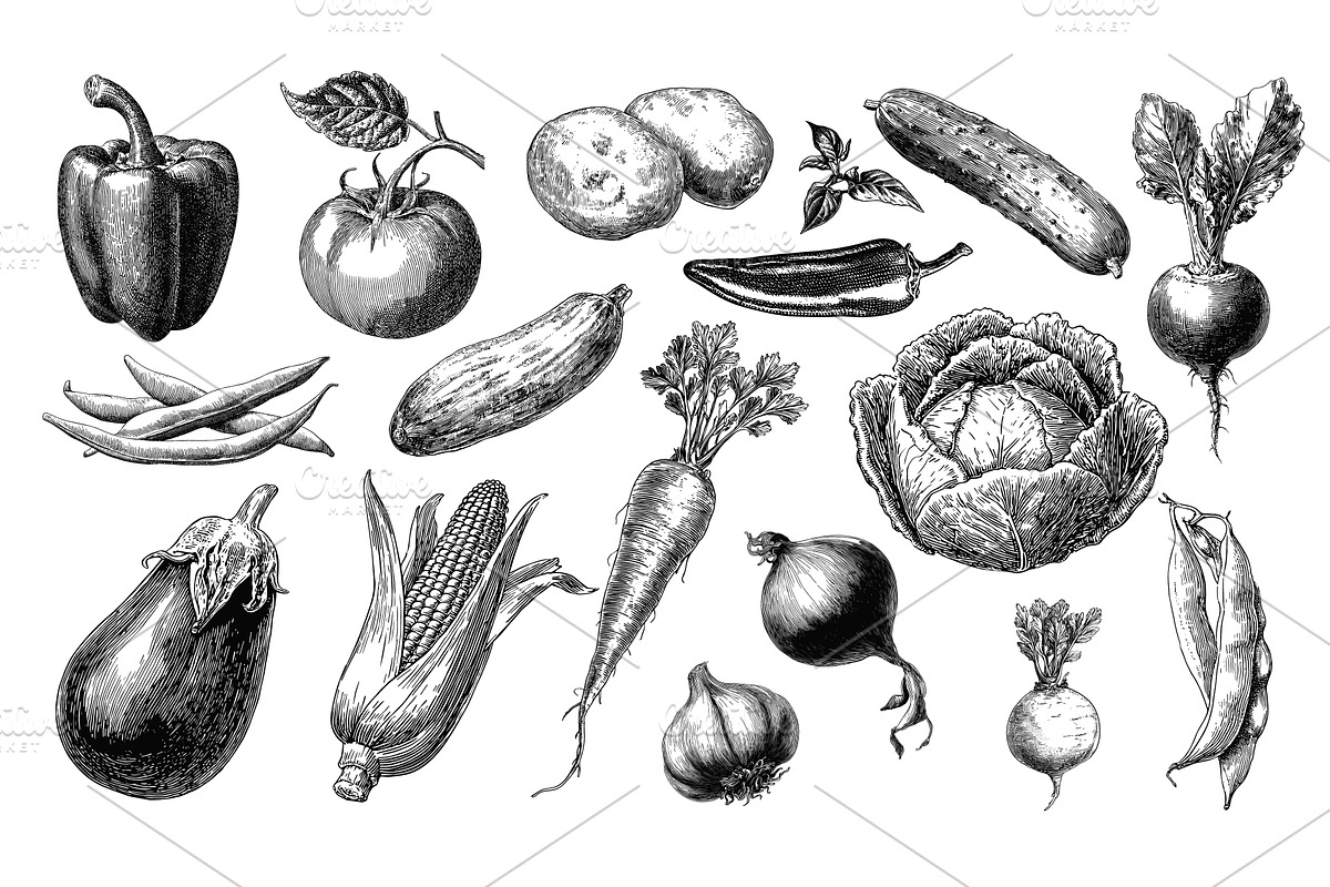 vegetables engraving set. Pepper, a Food Illustration by Stock-Smart-Start
