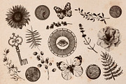 Vintage Maps. Stamp Brushes, a Brush Add-On by Julia_Raketic (Thumbnail 12 of 15)