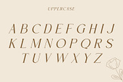 Fluxerist, a Serif Font by Rishsketch (Thumbnail 6 of 13)