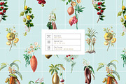 Herbarium Collection prints & more!, a Pattern Graphic by Pink Linen (Thumbnail 3 of 15)