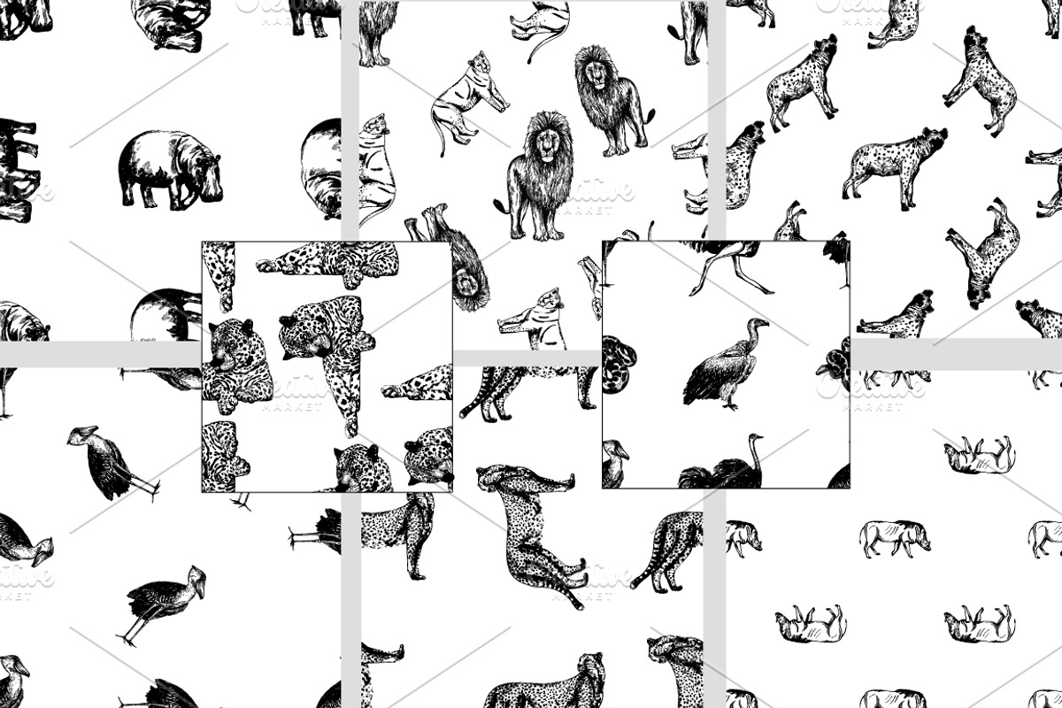 Wild Animals 3, an Animal Illustration by Ecaterina Sciuchina (Photo 4 of 5)