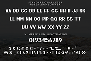 Jackflash, a Script Font by FreshTypeINK (Thumbnail 4 of 8)