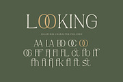 Hiden Certon - Aesthetic Serif Font, a Serif Font by Fype Co. (Thumbnail 4 of 5)