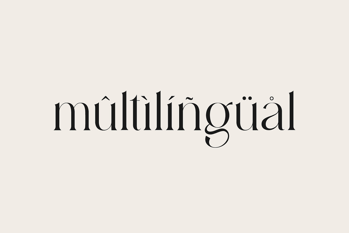 Diastema – Modern Ligature Typeface, a Serif Font by Issam Type (Photo 9 of 14)