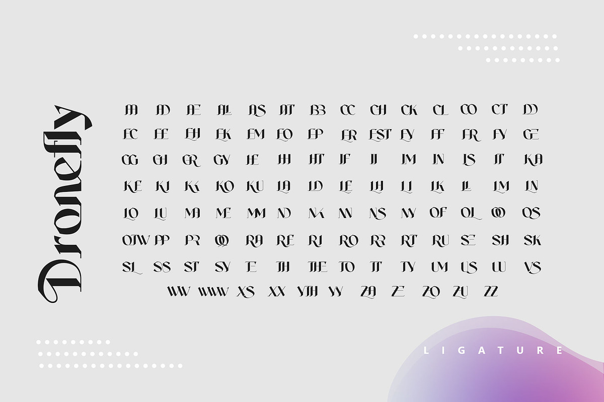 Dronefly Typeface, a Serif Font by alit design (Photo 3 of 15)