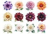Watercolor Dahlia Clipart, a Seasonal Illustration by Design Market (Thumbnail 3 of 4)