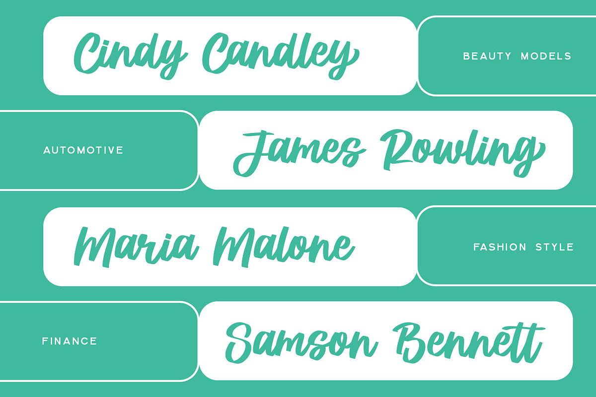 Prestiche - Bold Script, a Script Font by Alpaprana (Photo 6 of 10)