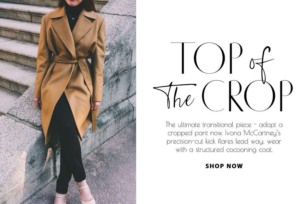 Chic Luxury Font Duo preview 4