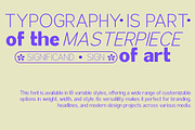 Attractive Variable (18 Fonts), a Serif Font by IM Studio (Thumbnail 9 of 12)