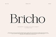 Bricho Modern Elegant Serif, a Serif Font by Alfinart (Thumbnail 1 of 8)