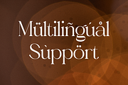 Gealova Modern Serif Font, a Serif Font by Storytype Studio (Thumbnail 11 of 15)