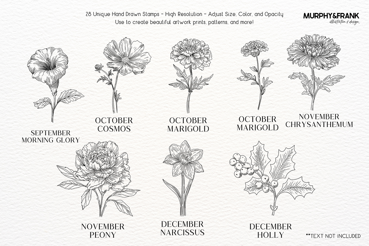 Birth Flower Procreate Brush Stamps, a Brush Add-On by Murphy & Frank (Photo 4 of 4)