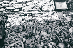 Human bones containing skull, skulls, and white